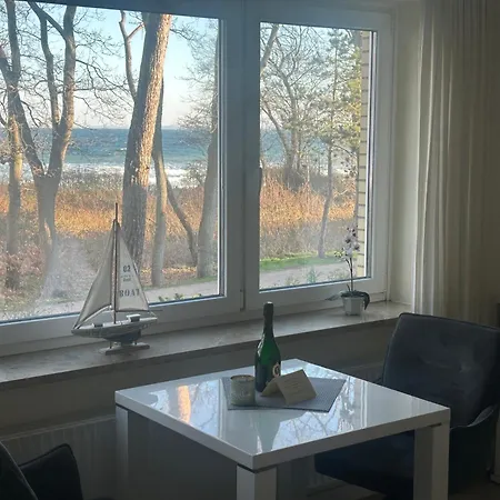 Seepferdchen