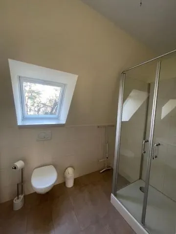 Seepferdchen Timmendorfer Strand